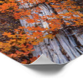 USA, Oregon, Willamette National Forest Poster (Hoek)