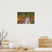 USA, Oregon, Willamette National Forest. Poster (Keuken)