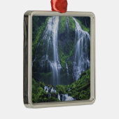 USA, Oregon, Willamette National Forest. Uitzicht  Metalen Ornament (Rechts)