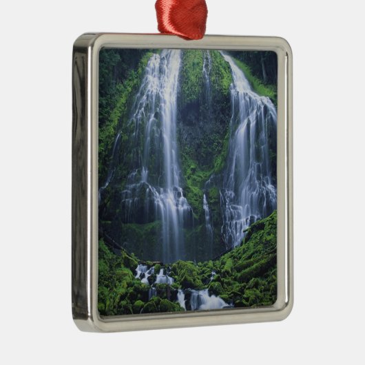 USA, Oregon, Willamette National Forest. Uitzicht  Metalen Ornament (Rechts)