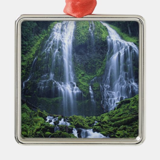 USA, Oregon, Willamette National Forest. Uitzicht  Metalen Ornament (Voorkant)