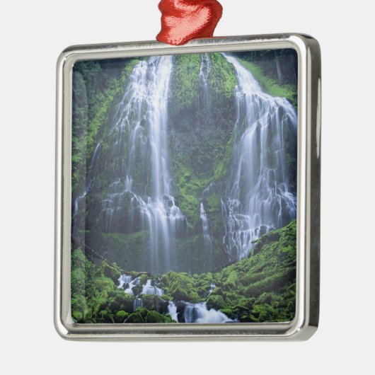 USA, Oregon, Willamette National Forest. Uitzicht  Metalen Ornament (Links)