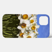 USA, Oregon, Willamette Valley. Daffodils groeien Case-Mate iPhone Case (Achterkant (horizontaal))