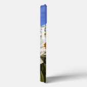 USA, Oregon, Willamette Valley. Daffodils groeien Case-Mate iPhone Case (Achterkant / Rechts)