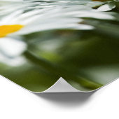 USA, Oregon, Willamette Valley, Selective Poster (Hoek)