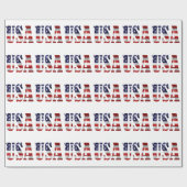 USA Patriotic Cadeaupapier (Vlak)