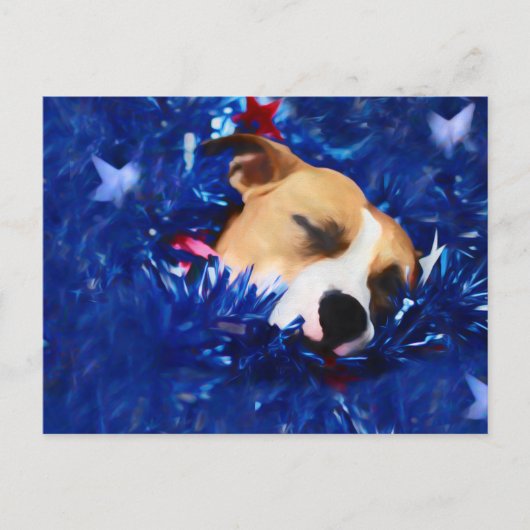 USA Patriotic Dog American Pit Bull Terrier Briefkaart (Voorkant)