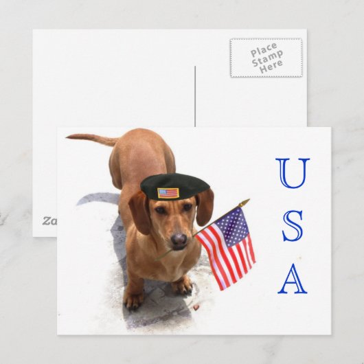 USA Patriotic teckel briefkaart (Voorkant / Achterkant)