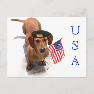 USA Patriotic teckel briefkaart