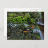 USA, Pennsylvania, Benton, Ricketts Glen State Briefkaart (Voorkant / Achterkant)