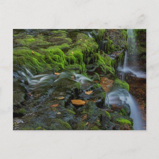 USA, Pennsylvania, Benton, Ricketts Glen State Briefkaart (Voorkant)