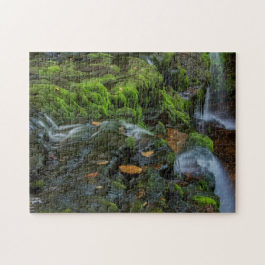 USA, Pennsylvania, Benton, Ricketts Glen State Legpuzzel (Horizontaal)