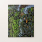 USA, Pennsylvania, Benton, Ricketts Glen State Legpuzzel (Verticaal)