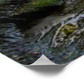 USA, Pennsylvania, Benton, Ricketts Glen State Poster (Hoek)