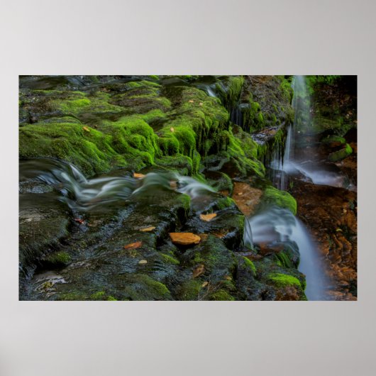 USA, Pennsylvania, Benton, Ricketts Glen State Poster (Voorkant)