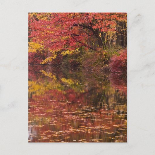 USA, Pennsylvania, Delaware Water Gap National Briefkaart (Voorkant)