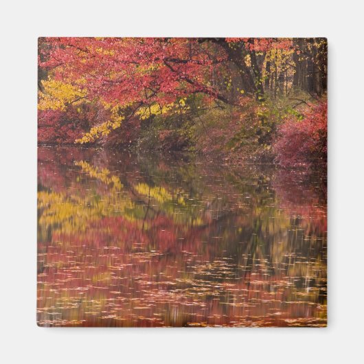 USA, Pennsylvania, Delaware Water Gap National Magneet (Voorkant)