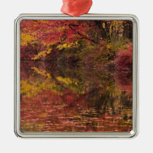 USA, Pennsylvania, Delaware Water Gap National Metalen Ornament