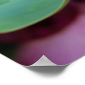 USA, Pennsylvania. Flower bud opening in spring Poster (Hoek)