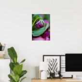 USA, Pennsylvania. Flower bud opening in spring Poster (Thuiskantoor)
