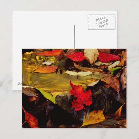 USA, Pennsylvania, Pocono Mountains 1 Briefkaart (Voorkant / Achterkant)