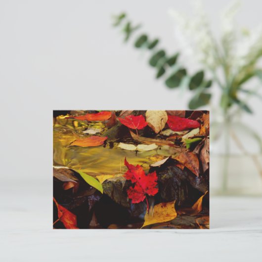 USA, Pennsylvania, Pocono Mountains 1 Briefkaart (Staand voorkant)