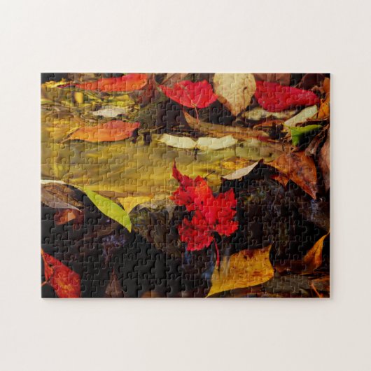 USA, Pennsylvania, Pocono Mountains 1 Legpuzzel (Horizontaal)