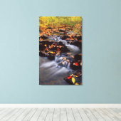 USA, Pennsylvania, Pocono Mountains 2 Canvas Afdruk (Insitu (Houten vloer))