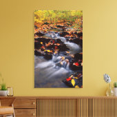 USA, Pennsylvania, Pocono Mountains 2 Canvas Afdruk (Insitu (Woonkamer))