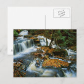 USA, Pennsylvania, Ricketts Glen State Park Briefkaart (Voorkant / Achterkant)