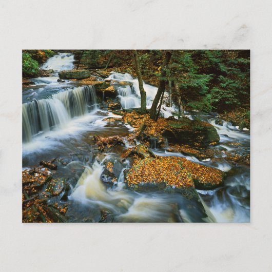 USA, Pennsylvania, Ricketts Glen State Park Briefkaart (Voorkant)