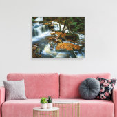 USA, Pennsylvania, Ricketts Glen State Park Canvas Afdruk (Insitu (Woonkamer))