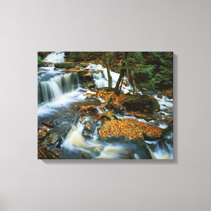USA, Pennsylvania, Ricketts Glen State Park Canvas Afdruk