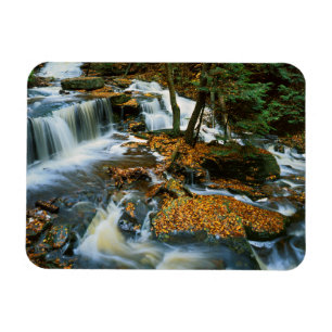 USA, Pennsylvania, Ricketts Glen State Park Magneet