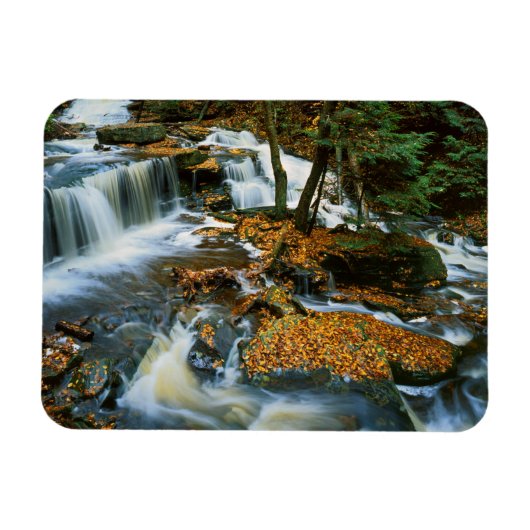 USA, Pennsylvania, Ricketts Glen State Park Magneet (Horizontaal)