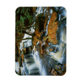 USA, Pennsylvania, Ricketts Glen State Park Magneet (Verticaal)