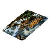 USA, Pennsylvania, Ricketts Glen State Park Magneet (Linkerzijde)
