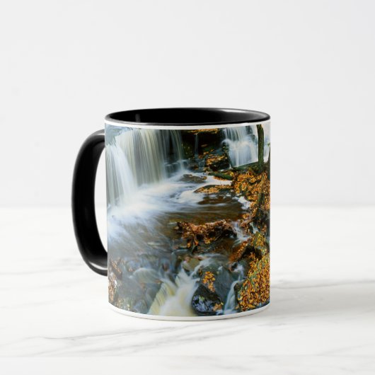 USA, Pennsylvania, Ricketts Glen State Park Mok (Voorkant links)