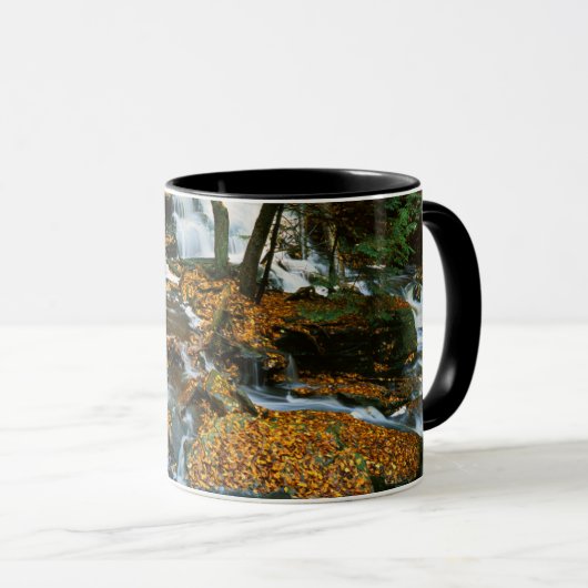 USA, Pennsylvania, Ricketts Glen State Park Mok (Voorkant rechts)