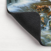 USA, Pennsylvania, Ricketts Glen State Park Muismat (Hoek)