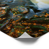 USA, Pennsylvania, Ricketts Glen State Park Poster (Hoek)