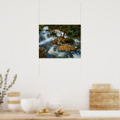 USA, Pennsylvania, Ricketts Glen State Park Poster (Keuken)