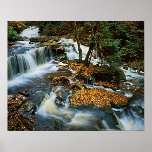 USA, Pennsylvania, Ricketts Glen State Park Poster (Voorkant)