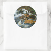 USA, Pennsylvania, Ricketts Glen State Park Ronde Sticker (Tas)