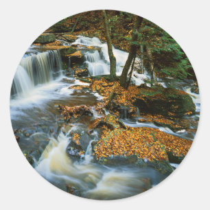 USA, Pennsylvania, Ricketts Glen State Park Ronde Sticker