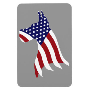 USA Pride Grote Deen Magneet