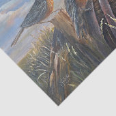 USA Robins Tissuepapier (Detail)