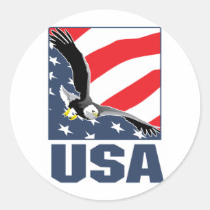 usa ronde sticker