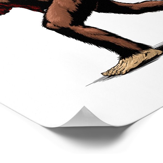 USA Sasquatch Poster (Hoek)