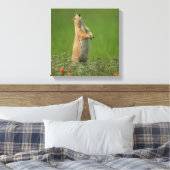 USA, South Dakota, Custer State Park Canvas Afdruk (Insitu (Slaapkamer))